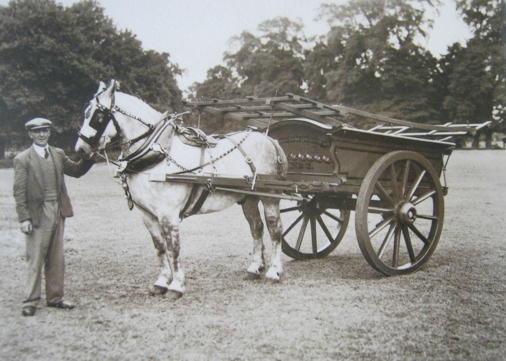 Gentleman with Horse & Cart at the Agricultural Show, Long Sutton