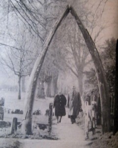 AOS P 3031 whalebone arch, entrance to cinder ash park. it was presented to the village by a miss copeman who brought it in a farm sale at tydd